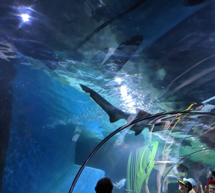 Greater Cleveland Aquarium (Cleveland,&nbspOH)